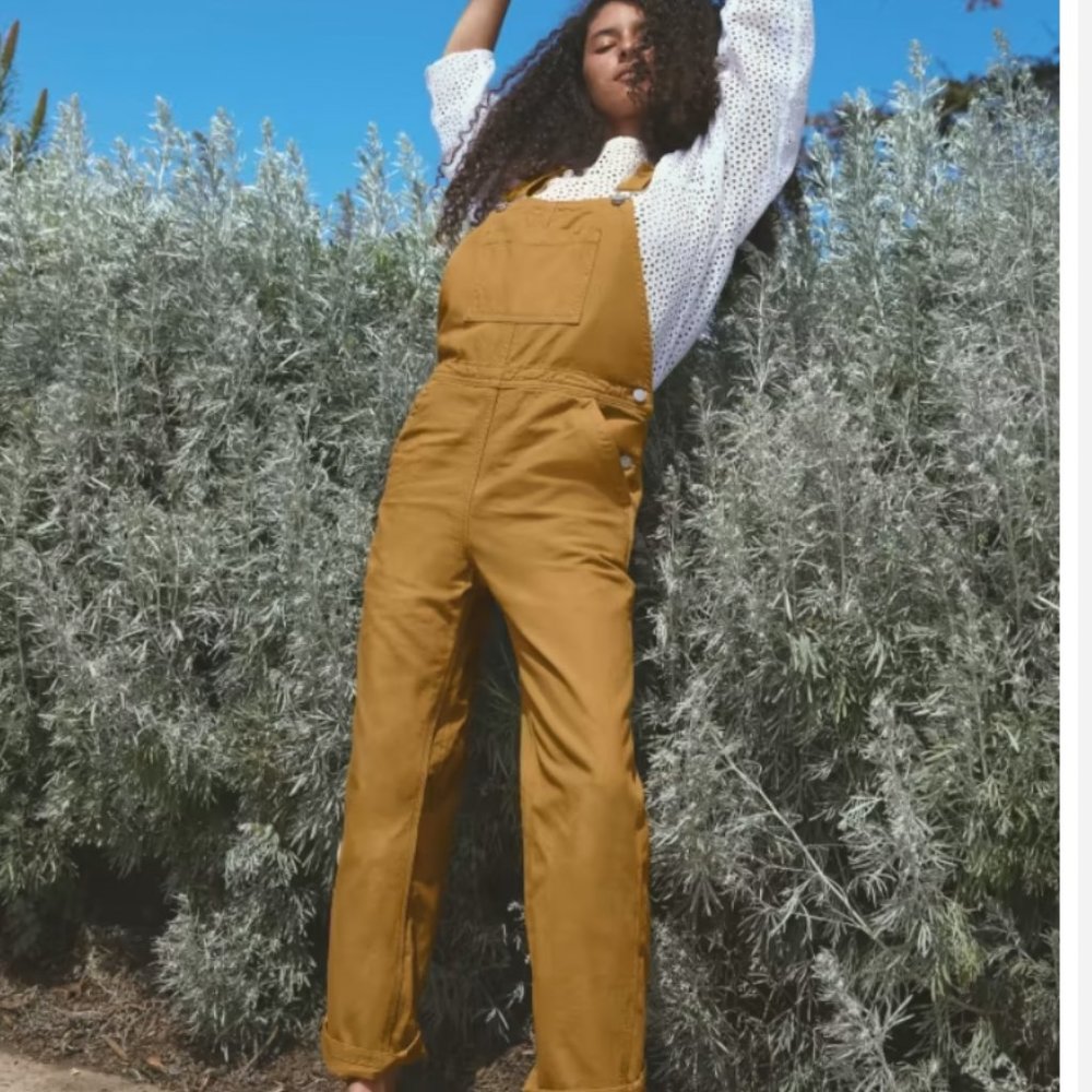 Everlane The Canvas Overalls